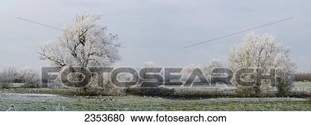 Stock Image - Cotswold Water Park; Thames Head, England. Fotosearch