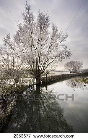 Cotswold Water Park; Thames Head, England View Large Photo Image Stock Photo - Cotswold Water Park; Thames Head, England. Fotosearch