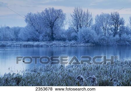 Cotswold Water Park; Thames Head, England View Large Photo Image Stock Photo - Cotswold Water Park; Thames Head, England. Fotosearch