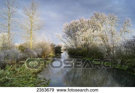 Cotswold Water Park; Thames Head, England View Large Photo Image Stock Photo - Cotswold Water Park; Thames Head, England. Fotosearch