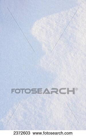 Curvey Shadows In The Snow; St. Albert, Alberta, Canada View Large Photo Image Stock Image - Curvey Shadows In The Snow; St. Albert, Alberta, Canada. Fotosearch