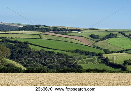 Stock Image - Dart Valley Landscape; Devon, England. Fotosearch