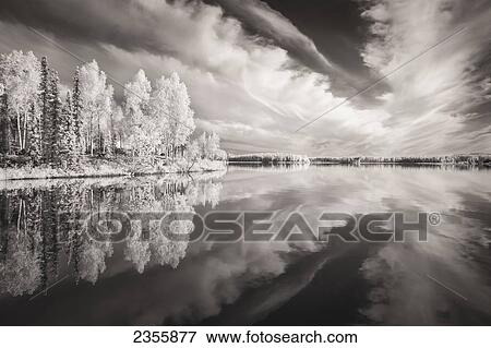 Digital Infrared Ir Capture Of Scenic, Calm Lake With Cloud And Tree Reflections On Willow Lake In The Matanuska-Susitna Borough; Willow, Alaska, United States Of America View Large Photo Image Stock Photo - Digital Infrared Ir Capture Of Scenic, Calm Lake With Cloud And Tree Reflections On Willow Lake In The Matanuska-Susitna Borough; Willow, Alaska, United States Of America. Fotosearch