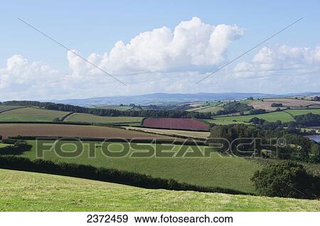Stock Photo - Divided Farmland; Devon, England. Fotosearch