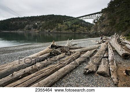 Driftwood On The Shore And Deception Pass Bridge In The Distance; Oak Harbor, Washington, United States Of America View Large Photo Image Picture - Driftwood On The Shore And Deception Pass Bridge In The Distance; Oak Harbor, Washington, United States Of America. Fotosearch