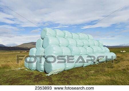 Dry Grass Being Protected From Weather; Laugarvatn, Arnessysla, Iceland View Large Photo Image Stock Image - Dry Grass Being Protected From Weather; Laugarvatn, Arnessysla, Iceland. Fotosearch