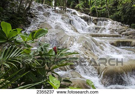 Dunn's River Falls; Ocho Rios, Jamaica View Large Photo Image Stock Photo - Dunn's River Falls; Ocho Rios, Jamaica. Fotosearch