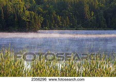 Stock Photograph - Early Morning Mist Rising Off Brousseau's Pond; South Stukely, Quebec, Canada. Fotosearch