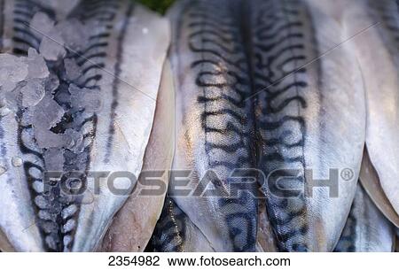 Stock Image - Fish For Sale At Borough Market; London, England. Fotosearch