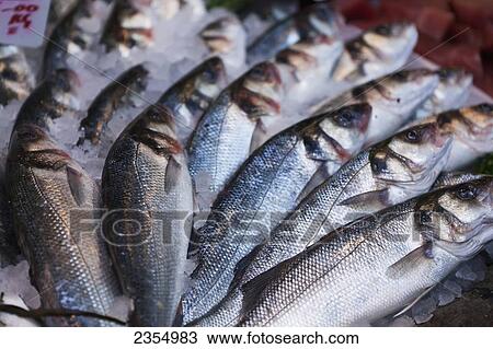 Fish For Sale At Borough Market; London, England View Large Photo Image Stock Image - Fish For Sale At Borough Market; London, England. Fotosearch
