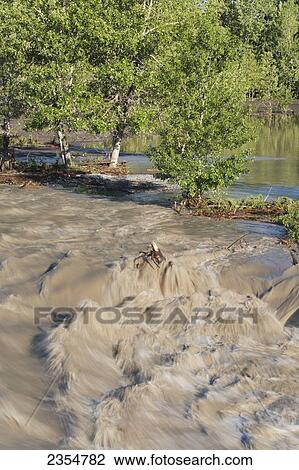Flowing Water In A Flooded River; Calgary, Alberta, Canada View Large Photo Image Stock Image - Flowing Water In A Flooded River; Calgary, Alberta, Canada. Fotosearch