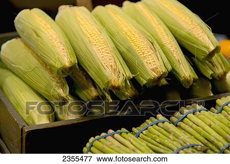 Fresh Corn On The Cob And Asparagus; Seattle, Washington, United States Of America View Large Photo Image Stock Photo - Fresh Corn On The Cob And Asparagus; Seattle, Washington, United States Of America. Fotosearch