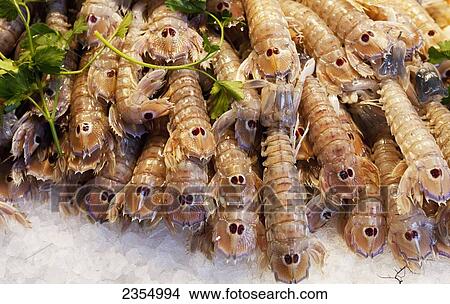Picture - Fresh Seafood For Sale At Rialto Market; Venice, Italy. Fotosearch