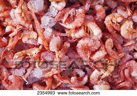 Fresh Seafood For Sale At Rialto Market; Venice, Italy View Large Photo Image Stock Image - Fresh Seafood For Sale At Rialto Market; Venice, Italy. Fotosearch