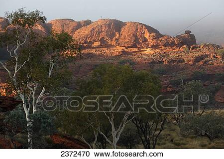 Stock Image - Kings Canyon; Northern Territory, Australia. Fotosearch