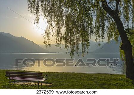 Stock Photo - Lake Maggiore At Sunset; Locarno, Ticino, Switzerland. Fotosearch