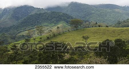 Landscape Of Grassy Hills With Trees And Cloud; Zacapa, Guatemala View Large Photo Image Stock Image - Landscape Of Grassy Hills With Trees And Cloud; Zacapa, Guatemala. Fotosearch