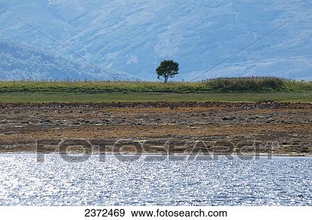 Landscape Of River, Field With Tree And Mountain; Scotland View Large Photo Image Stock Photo - Landscape Of River, Field With Tree And Mountain; Scotland. Fotosearch