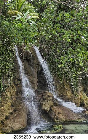 Little Falls; Ocho Rios, Jamaica View Large Photo Image Stock Photo - Little Falls; Ocho Rios, Jamaica. Fotosearch