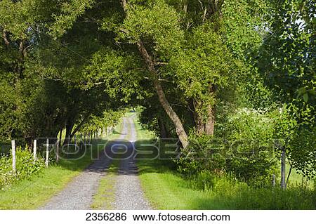 Stock Photograph - Long Dirt Road; Hatley, Quebec, Canada. Fotosearch