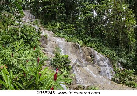 Stock Photography - Mahoe Falls; Ocho Rios, Jamaica. Fotosearch
