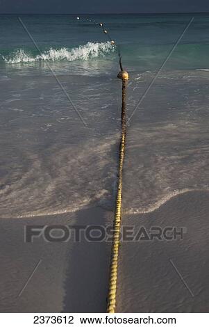 Stock Image - Safety rope with buoys floating in the ocean; Tulum, Mexico. Fotosearch