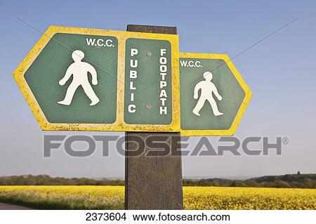 Sign for a public footpath goes through fields of yellow rapeseed in the typical English countryside of rolling hills around the village of Ashmore; Wiltshire, England View Large Photo Image Picture - Sign for a public footpath goes through fields of yellow rapeseed in the typical English countryside of rolling hills around the village of Ashmore; Wiltshire, England. Fotosearch