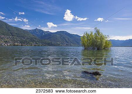 Swiss Alps Along The Shoreline Of Lake Maggiore; Locarno, Ticino, Switzerland View Large Photo Image Stock Image - Swiss Alps Along The Shoreline Of Lake Maggiore; Locarno, Ticino, Switzerland. Fotosearch