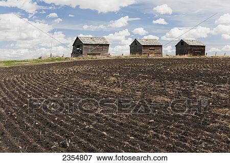 Three Old Wooden Small Barns In A Field With Seeding Rows In The Soil With Clouds And Blue Sky; Nanton, Alberta, Canada View Large Photo Image Stock Photo - Three Old Wooden Small Barns In A Field With Seeding Rows In The Soil With Clouds And Blue Sky; Nanton, Alberta, Canada. Fotosearch