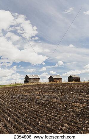 Stock Photograph - Three Old Wooden Small Barns In A Field With Seeding Rows In The Soil With Clouds And Blue Sky; Nanton, Alberta, Canada. Fotosearch