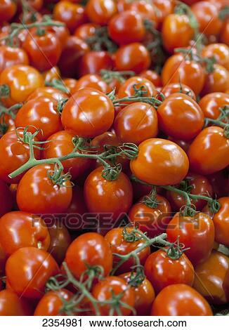 Tomatoes For Sale At Borough Market; London, England View Large Photo Image Stock Image - Tomatoes For Sale At Borough Market; London, England. Fotosearch