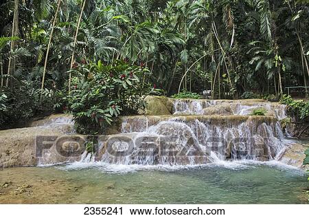 Waterfalls In Enchanted Gardens; Ocho Rios, Jamaica View Large Photo Image Stock Image - Waterfalls In Enchanted Gardens; Ocho Rios, Jamaica. Fotosearch