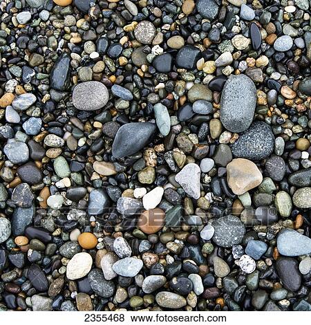Wet Rocks On The Beach; Oak Harbor, Washington, United States Of America View Large Photo Image Stock Photo - Wet Rocks On The Beach; Oak Harbor, Washington, United States Of America. Fotosearch