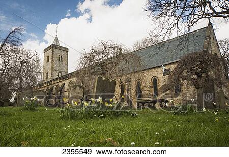 Stock Photo - Wildflowers Growing In The Yard Of An Old Church Building; Whitburn, Tyne And Wear, England. Fotosearch