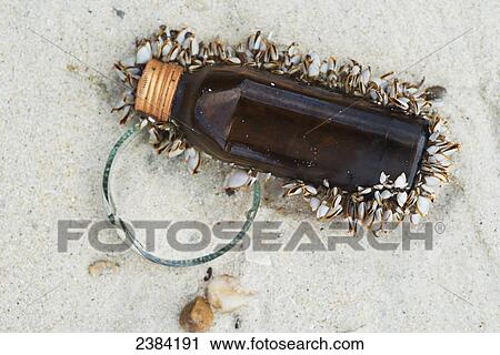A bottle in the sand covered with small seashells; Koh Samet Island, Thailand View Large Photo Image Stock Image - A bottle in the sand covered with small seashells; Koh Samet Island, Thailand. Fotosearch