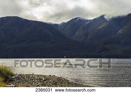 A Canada flag flies from a tiny rock island in the middle of the water; Port Alice, British Columbia, Canada View Large Photo Image Stock Image - A Canada flag flies from a tiny rock island in the middle of the water; Port Alice, British Columbia, Canada. Fotosearch