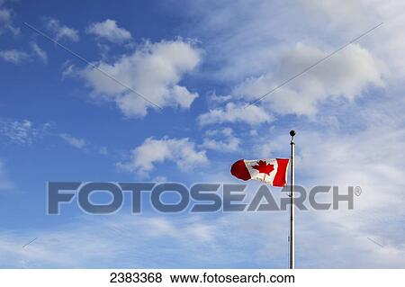 A Canada flag flying in the wind against a blue and cloudy sky; Fort McMurray, Alberta, Canada View Large Photo Image Stock Photo - A Canada flag flying in the wind against a blue and cloudy sky; Fort McMurray, Alberta, Canada. Fotosearch