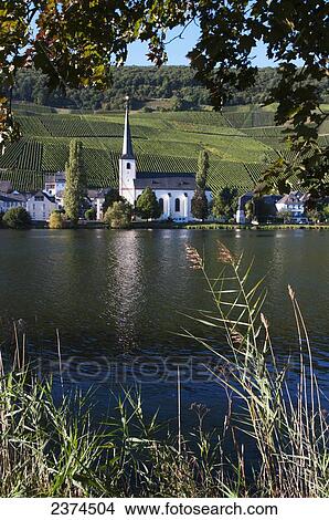 A church, houses and vineyards along the Moselle River; Mosel, Germany View Large Photo Image Picture - A church, houses and vineyards along the Moselle River; Mosel, Germany. Fotosearch