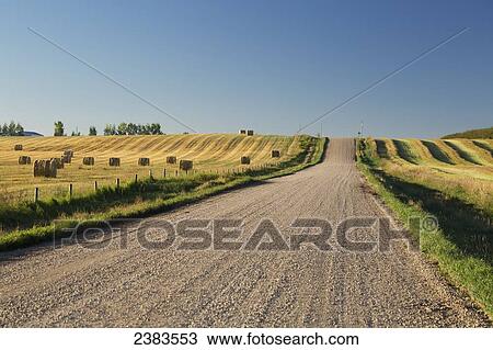 A gravel road between farm fields View Large Photo Image Stock Image - A gravel road between farm fields. Fotosearch