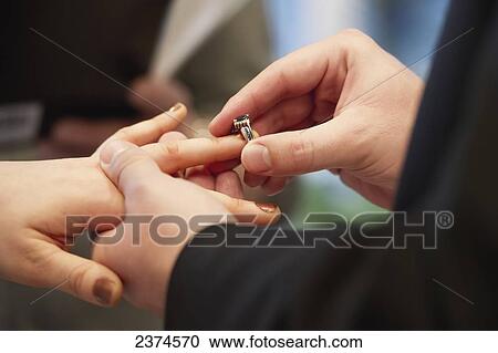 A groom puts a ring on the bride's finger; Edmonton, Alberta, Canada View Large Photo Image Stock Image - A groom puts a ring on the bride's finger; Edmonton, Alberta, Canada. Fotosearch