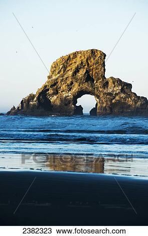 Stock Image - A large natural arch found at Ecola State Park; Cannon Beach, Oregon, United States of America. Fotosearch