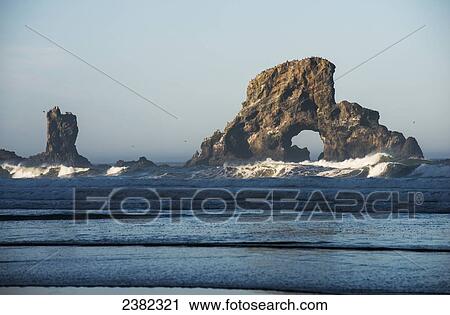 Stock Image - A large natural arch is found at Ecola State Park; Oregon, United States of America. Fotosearch