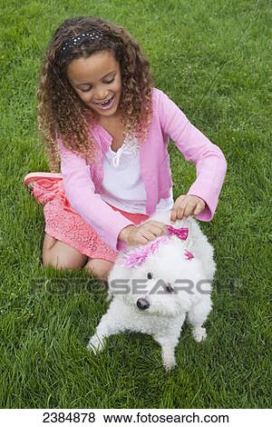A little girl putting a pink bow on her dog; Menlo Park, California, United States of America View Large Photo Image Stock Photo - A little girl putting a pink bow on her dog; Menlo Park, California, United States of America. Fotosearch