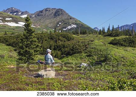 A male hiker sitting on a ridge enjoys a view of the Chugach State Park; Alaska, United States of America View Large Photo Image Stock Photo - A male hiker sitting on a ridge enjoys a view of the Chugach State Park; Alaska, United States of America. Fotosearch