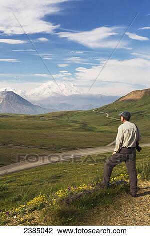 A male tourist enjoys an early morning view of Mt. McKinley, Denali National Park; Alaska, United States of America View Large Photo Image Stock Image - A male tourist enjoys an early morning view of Mt. McKinley, Denali National Park; Alaska, United States of America. Fotosearch