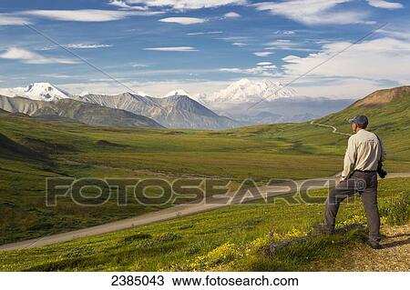 Stock Image - A male tourist enjoys an early morning view of Mt. McKinley, Denali National Park; Alaska, United States of America. Fotosearch