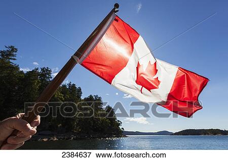 A man holds a Canadian Flag into the sun with the Gulf Islands the distance; British Columbia, Canada View Large Photo Image Stock Photo - A man holds a Canadian Flag into the sun with the Gulf Islands the distance; British Columbia, Canada. Fotosearch