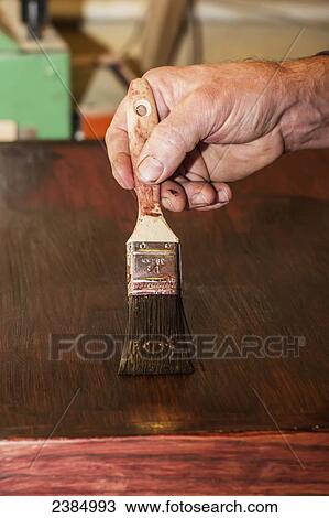 Stock Image - A man's hand is shown close up using a paint brush to apply wood stain to furniture; Nanaimo, British Columbia, Canada. Fotosearch