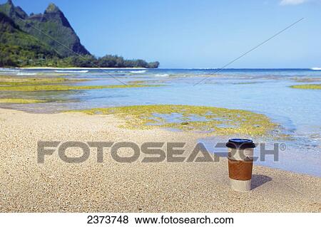 A paper coffee cup sitting on the sand at the water's edge; Kauai, Hawaii, United States of America View Large Photo Image Stock Photo - A paper coffee cup sitting on the sand at the water's edge; Kauai, Hawaii, United States of America. Fotosearch