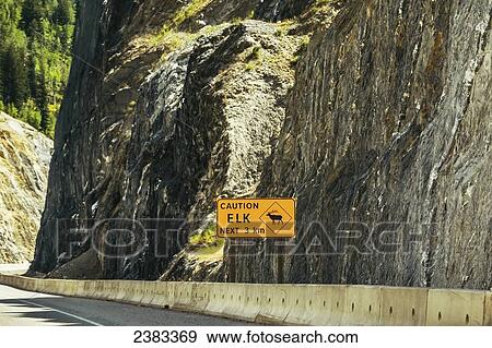 Stock Photo - A sign warns of elk on a highway in the Rocky Mountains; Golden, British Columbia, Canada. Fotosearch